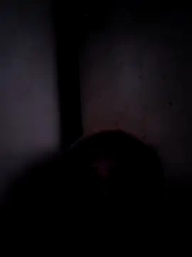 ListedLoin online show from 17, 3, 2026