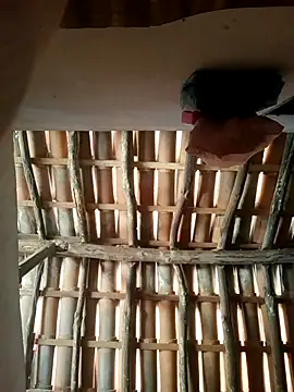 luissilva0071 online show from 24, 2, 2026