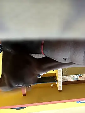 Tamil boy age28 online show from 12, 1, 2026