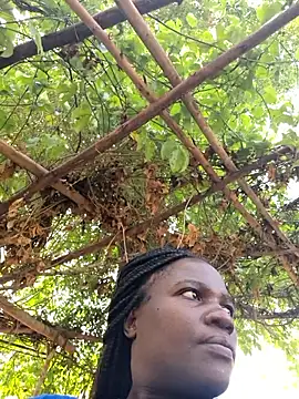 missarpie online show from 15, 1, 2026