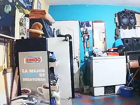 Snapshot of DiAntool chatting on 18, 1, 2026 DiAntool online show from 18, 1, 2026