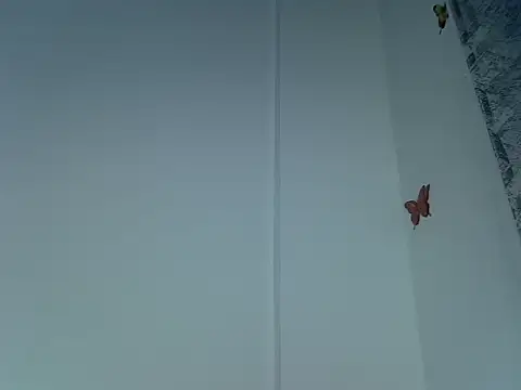 laetitia  online show from 29, 9, 2025