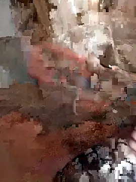 Din0071 online show from 22, 12, 2025