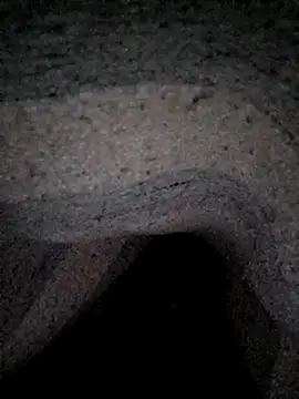 Janle 19c online show from 26, 12, 2024