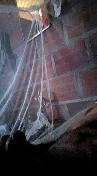 Janle 19c online show from 7, 1, 2025