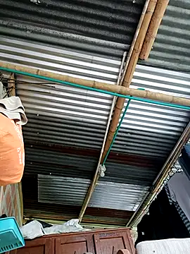 Janle 19c online show from 14, 9, 2025