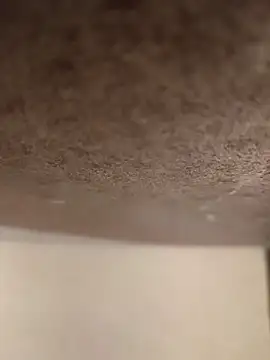 Alex flair online show from 17, 3, 2026