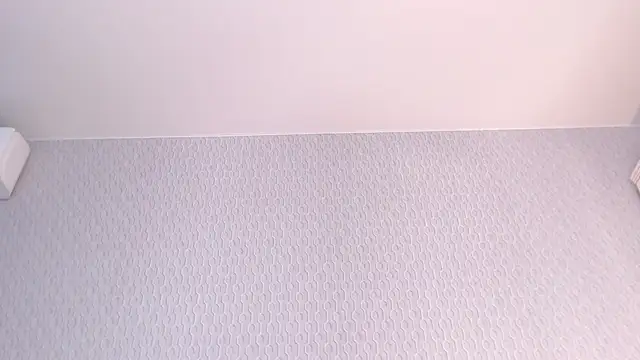 Snapshot of CERRUTI_model chatting on 21, 3, 2025 CERRUTI model online show from 21, 3, 2025