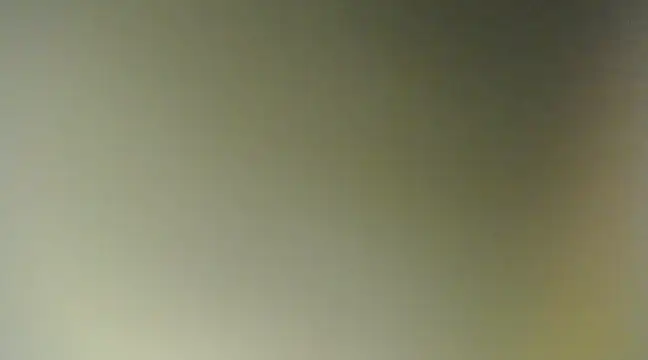 Snapshot of Lovensetest chatting on 11, 3, 2025 Lovensetest online show from 11, 3, 2025