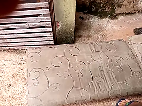 wel9238 online show from 25, 2, 2026