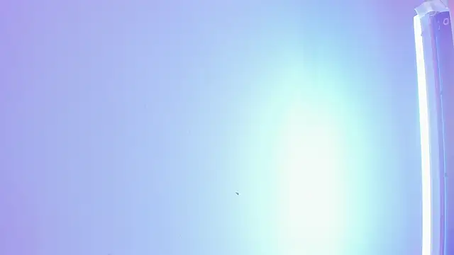 ellamontoya online show from 16, 11, 2025