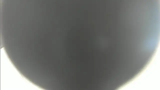 Snapshot of linasantoss chatting on 26, 1, 2025 linasantoss online show from 26, 1, 2025