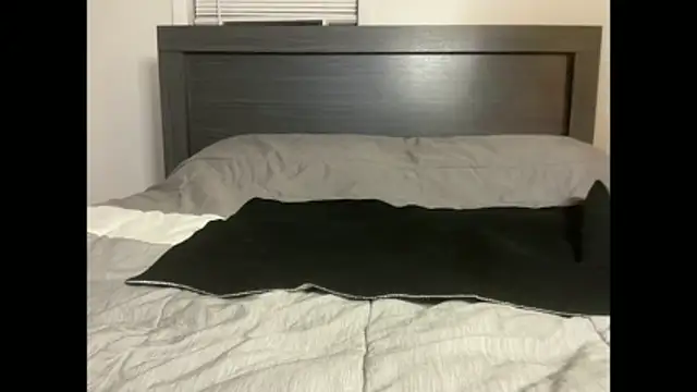 MissAriisback online show from 22, 12, 2025