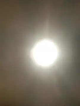 valleyoneofakind online show from 20, 10, 2025