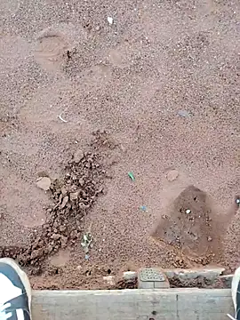 TornadoStorm35 online show from 30, 3, 2026