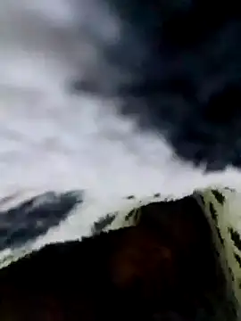 LemonyArcus online show from 24, 11, 2025