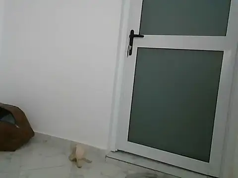 lugari online show from 21, 12, 2024