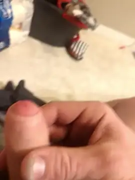 Bolo23693 online show from 8, 2, 2025