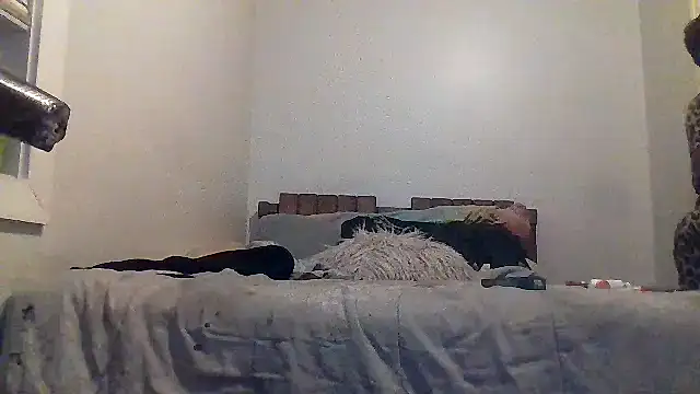 Snapshot of AllLeggs chatting on 20, 3, 2026 AllLeggs online show from 20, 3, 2026