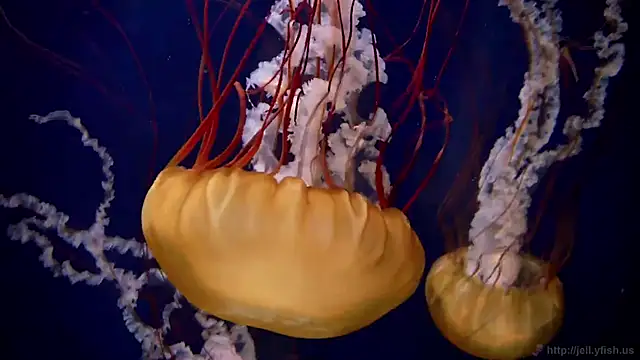 Snapshot of streamy_test12 chatting on 2, 2, 2026 streamy test12 online show from 2, 2, 2026