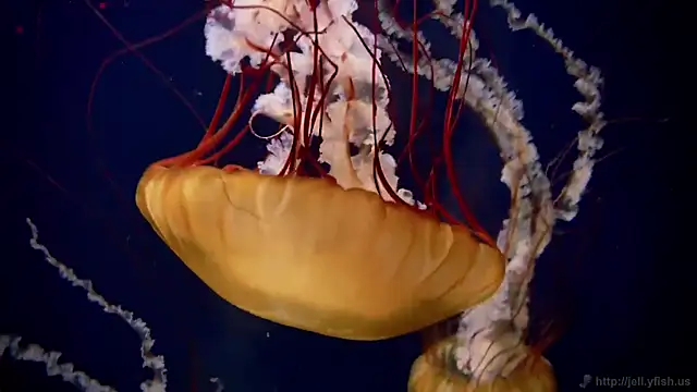 Snapshot of streamy_test12 chatting on 12, 3, 2026 streamy test12 online show from 12, 3, 2026