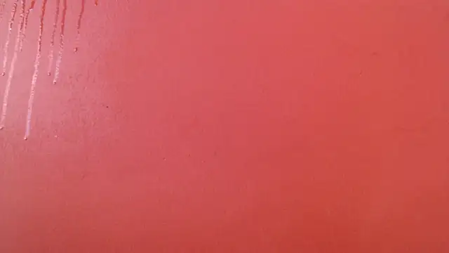 Freyja eter online show from 17, 10, 2025