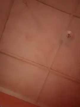 bebsexy online show from 14, 12, 2025