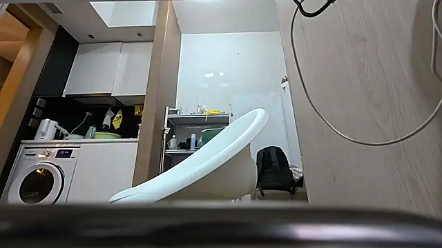 Snapshot of YunheLEE chatting on 27, 10, 2025 YunheLEE online show from 27, 10, 2025