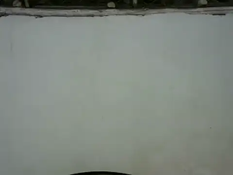 michel sc online show from 30, 1, 2025