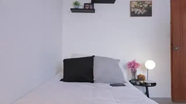 meloddysky online show from 20, 3, 2026