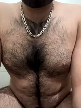 Samarth 0081 online show from 17, 12, 2025