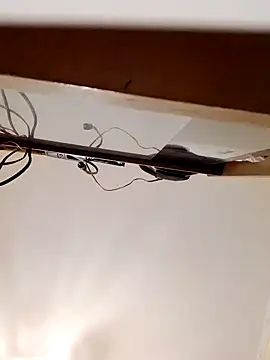 Gussie Bridie online show from 30, 9, 2025