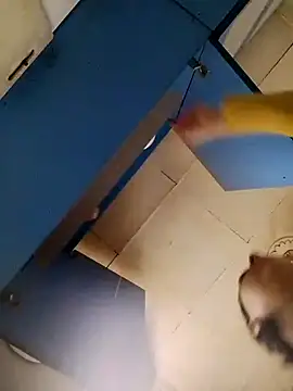 Gussie Bridie online show from 24, 10, 2025