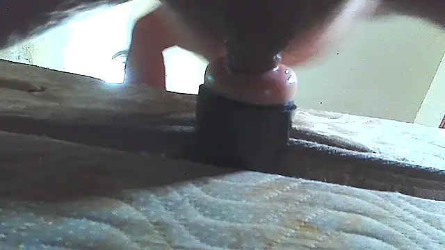 pipeload1275 online show from 16, 11, 2025