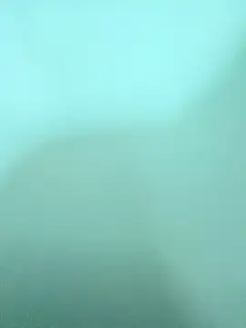 ZTahya online show from 14, 12, 2025