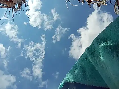 natally ross21 online show from 8, 12, 2024