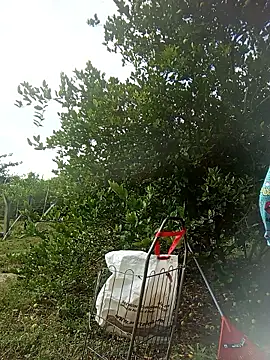 natally ross21 online show from 20, 3, 2026