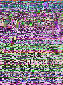 beauty alina online show from 16, 3, 2026