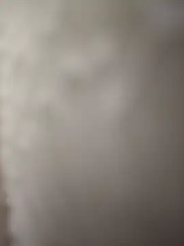 Snapshot of indianbull3684 chatting on 11, 12, 2024 indianbull3684 online show from 11, 12, 2024