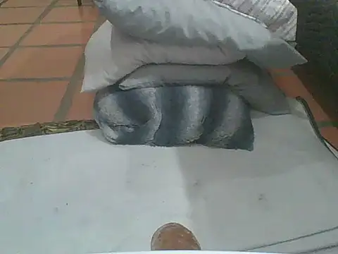 MrPatrick777 online show from 4, 2, 2026