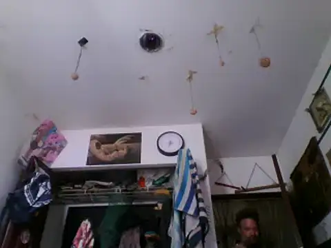LECHEBALLS online show from 28, 7, 2026