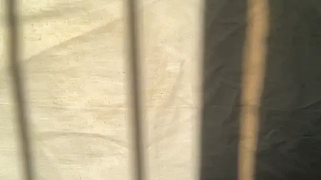 beforeyou69 online show from 6, 11, 2025