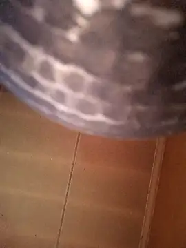 SashaahXXX online show from 12, 2, 2026