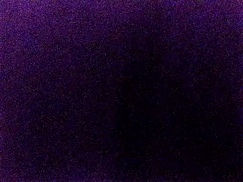 happy sonia online show from 2, 12, 2025