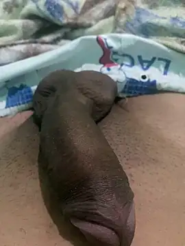 king cum  online show from 24, 12, 2024