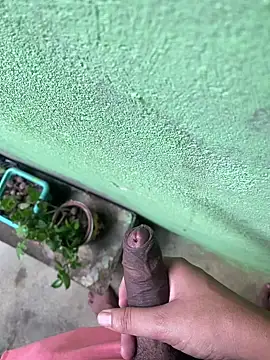 king cum  online show from 26, 12, 2024