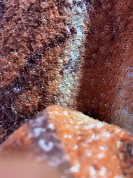 king cum  online show from 8, 11, 2025