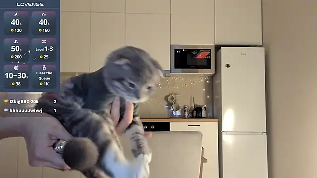 fairy di online show from 23, 12, 2024