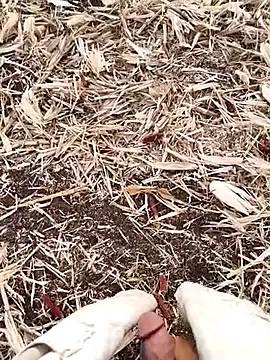 murokkk31 online show from 15, 9, 2025