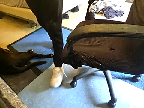 Migaruo online show from 14, 4, 2026